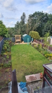 Some pics of the garden in August 2023.